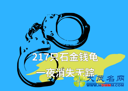 14f6f493fdb1ef357a8c42592c730ba0.png