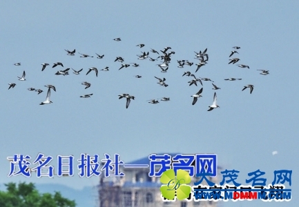 34db7d9c3b001b51fcdc441bfe806727.jpg
