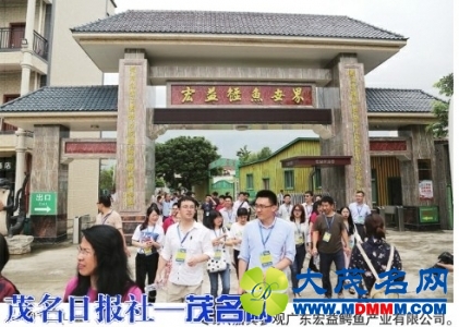 a1553faf4ac698e09b512f70bae53f4d.jpg