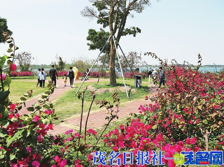 11ef5078a9297c080cbcd4cb99906602.jpeg